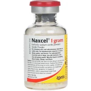 Naxcel Sterile Powder