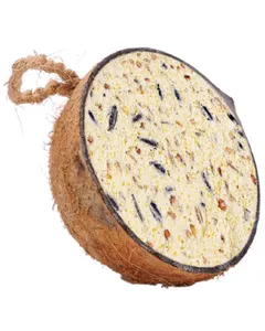 MVF Half Coconuts - Pack of 20