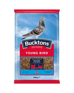 Bucktons Young Bird Pigeon Corn - 20kg