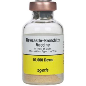 Newcastle-Bronchitis Vaccine