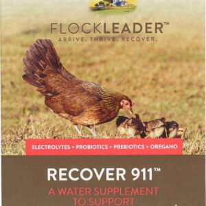 FlockLeader Recover 911 for Chicken