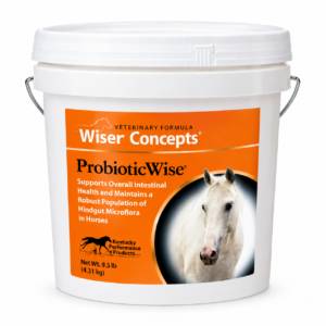 Wiser Concepts ProbioticWise