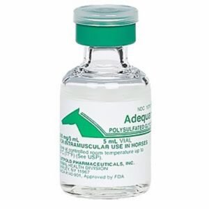 Adequan for Horses - i.m. for Horses 1-Vial (5 mL) - [Inflammation Relief]