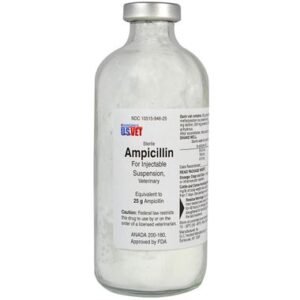 Ampicillin for Dogs, Cats & Cattle