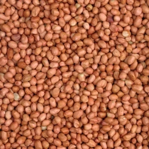 Wild Bird Whole Peanuts - 25kg