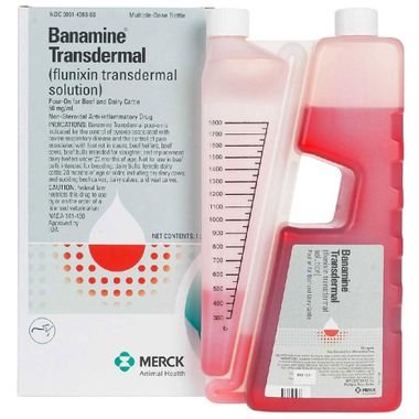 Merck Banamine Transdermal