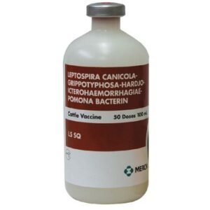 Merck L5 SQ Cattle Vaccine, 100mL - [Leptospirosis Prevention]