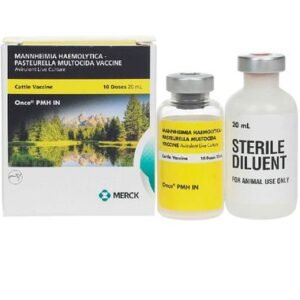 Merck Once PMH IN Cattle Vaccine, Avirulent Live Culture, 20mL - [Respiratory Health]