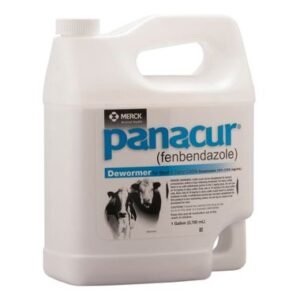 Panacur for Horses - Horse and Cattle Dewormer Suspension, 1 Gallon - [Parasite Treatment]