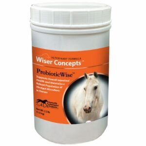 Wiser Concepts ProbioticWise