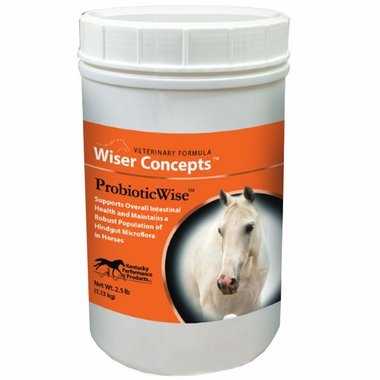 Wiser Concepts ProbioticWise